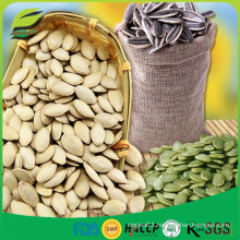 order natural Chinese pumpkin seeds and kernels